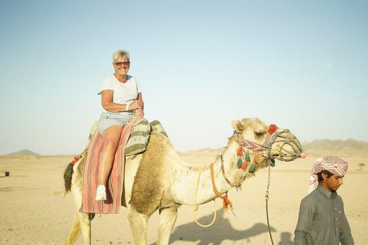 2 - Hour Camel Ride Ørken & Hav med Hotel Transfers / Hurghada