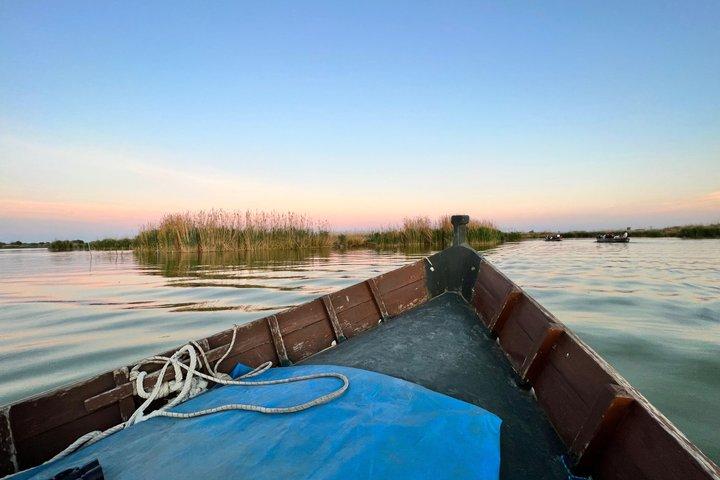 Tour Privado al Parque Natural de la Albufera con Paseo en Barca