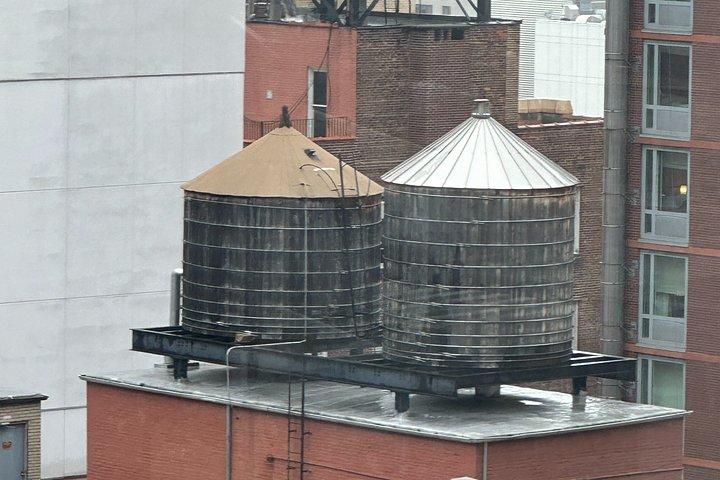 NYC Water Tower Walking Tour