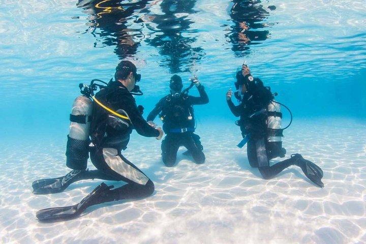3 - Dag PADI Open Water Dive Course & Bådudflugter / Hurghada