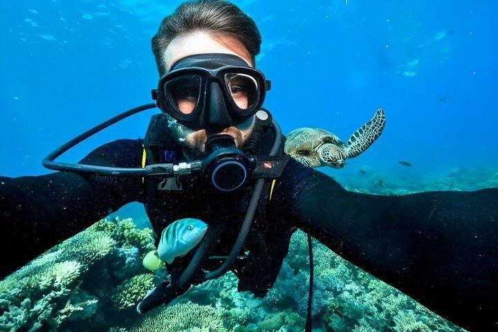 Avanceret PADI dykning med frokost og transfer inkluderet / Hurghada