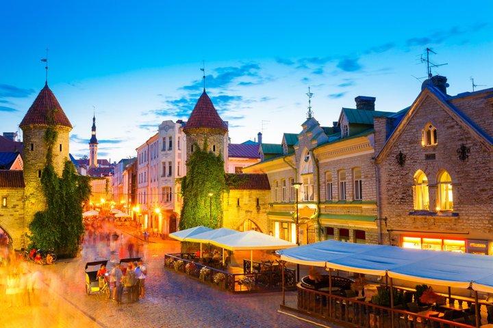 Helsinki nach Tallinn Private Tagestour mit Rückfahrt mit Fährtickets