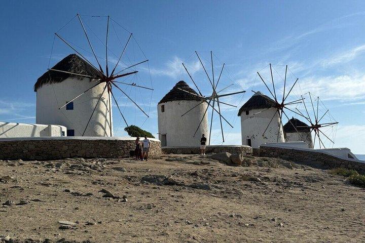 Mykonos privata halvdagstur