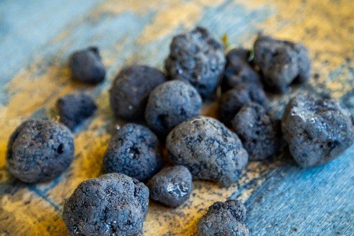 プライベートトリュフハントワインツアーテイスティングランチ8ワインソムリエ