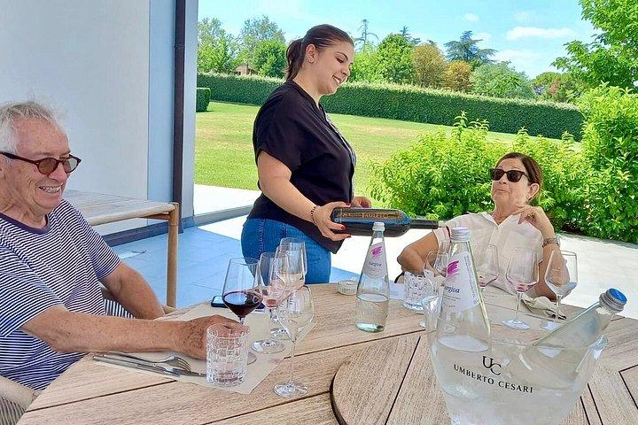 VINUPPLEVELSE & DOZZA - Privat dagstur från Ravenna