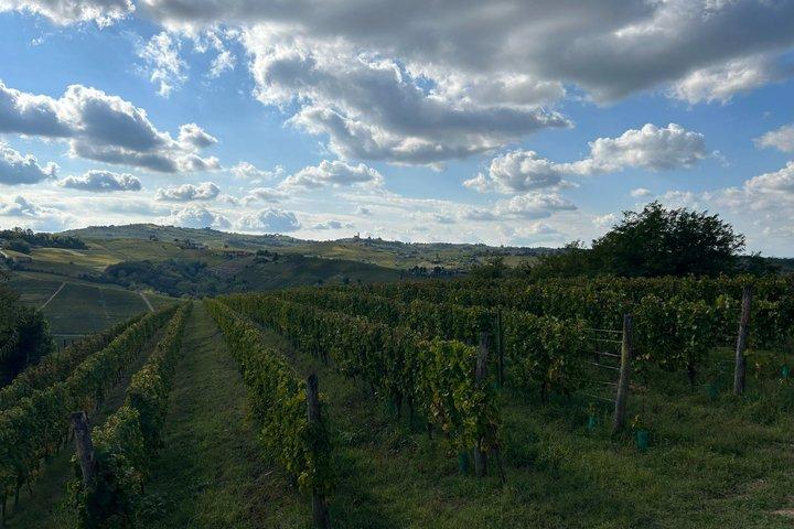 Aperitif between Langhe and Monferrato