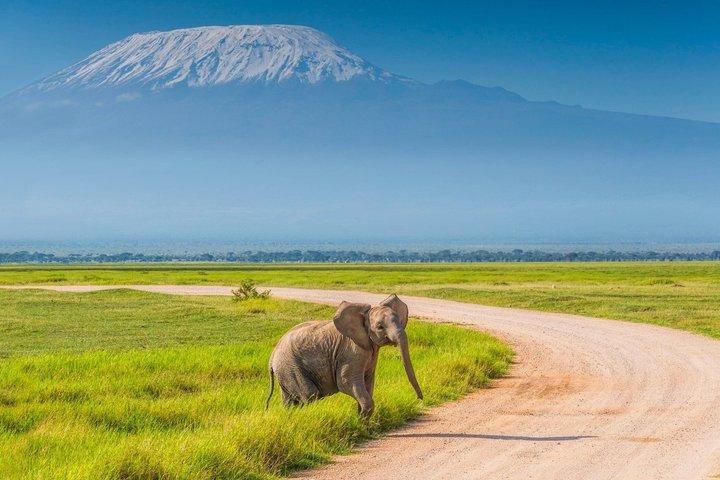 1 Nacht 2 Tage Safari zum Amboseli Nationalpark