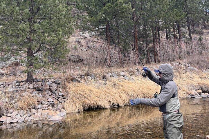 4 timmars guidad flugfisketur i Rocky Mountain National Park