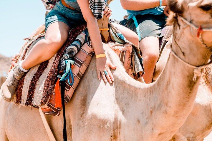Sharm El Sheikh ATV Quad Bike Safari & Camel Ride – Sin cargo oculto