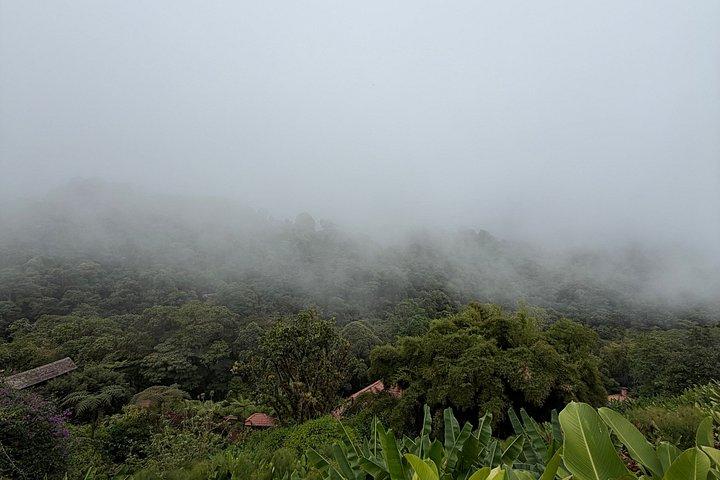 ドカコーヒーツアーポアス火山とラパス滝庭園コンボ