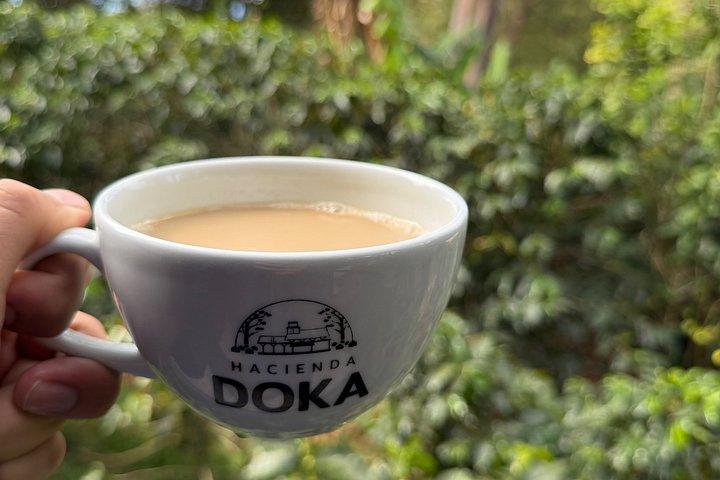 ドカコーヒーツアーポアス火山とラパス滝庭園コンボ