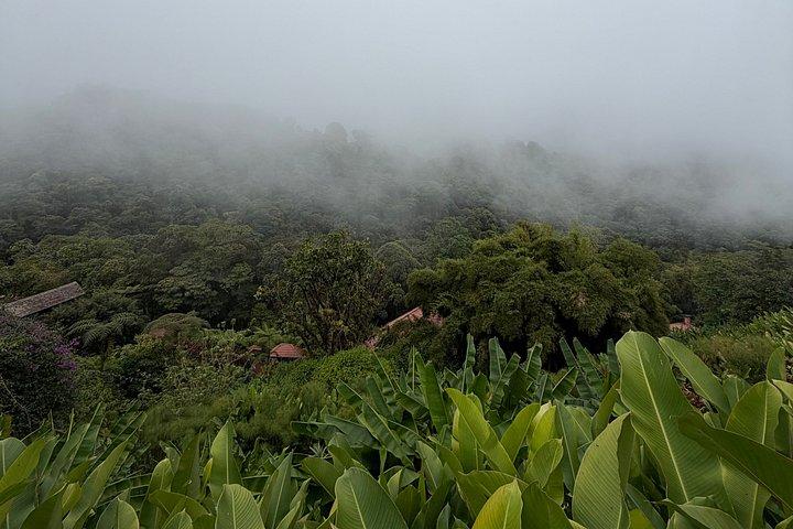 ドカコーヒーツアーポアス火山とラパス滝庭園コンボ