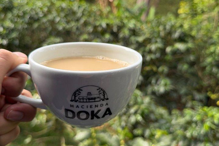 ドカコーヒーツアーポアス火山とラパス滝庭園コンボ