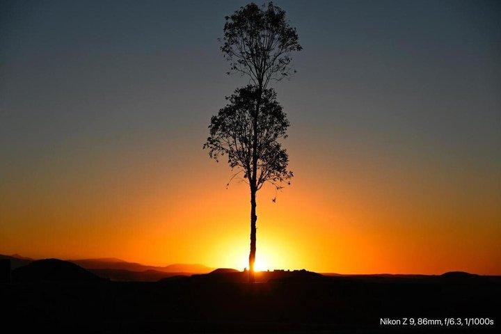 Marrakech: pôr-do-sol, show de jantar e estrelato no deserto de Agafay
