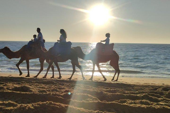 Camel Ride - Tangier & Asilah