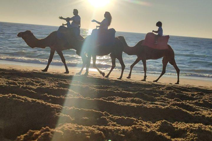 Camel Ride - Tangier & Asilah