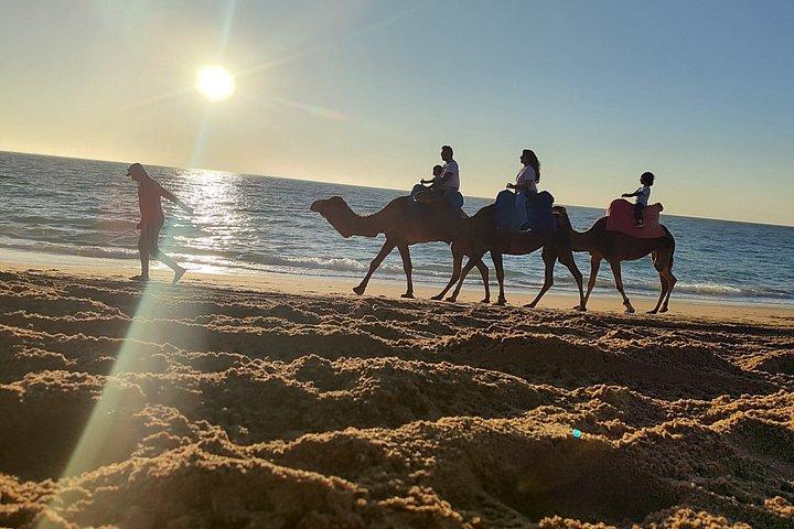 Camel Ride - Tangier & Asilah