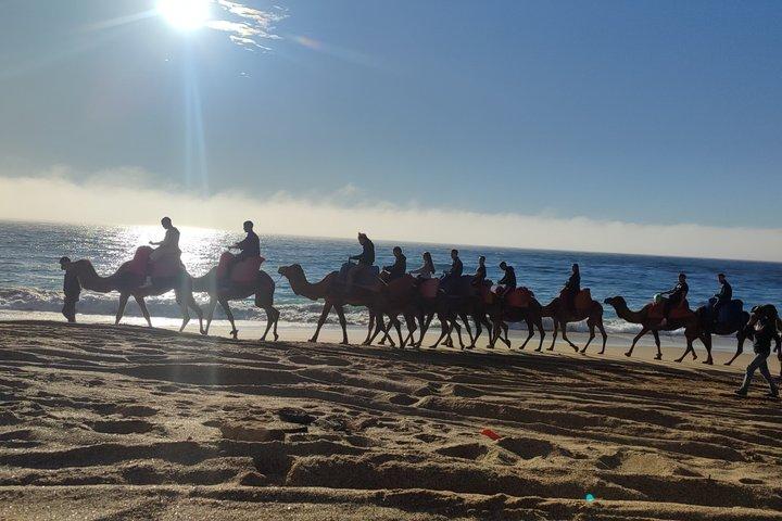 Camel Ride - Tangier & Asilah