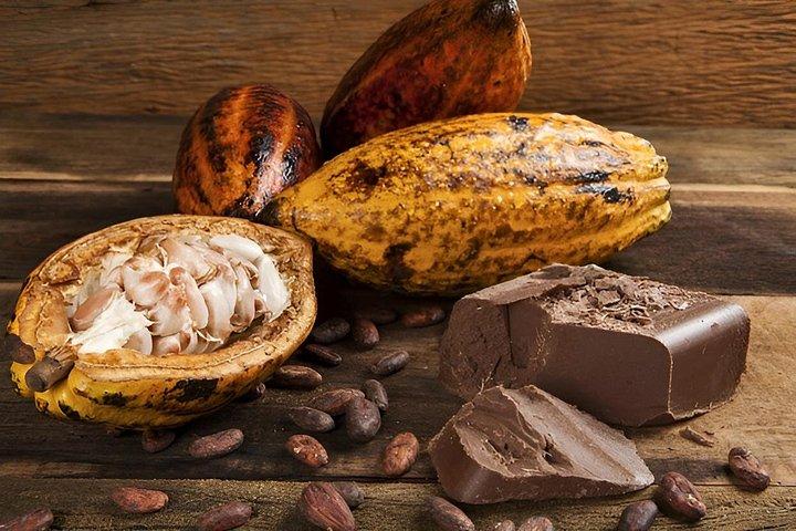 セントルシアシグネチャーチョコレート作りと竹のラフティング体験