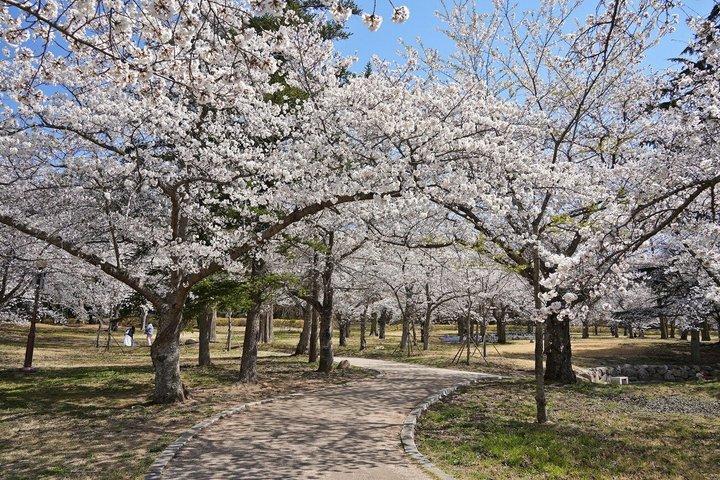 釜山発慶州ユネスコ世界遺産ツアー