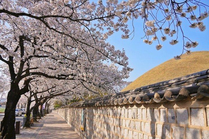 釜山発慶州ユネスコ世界遺産ツアー