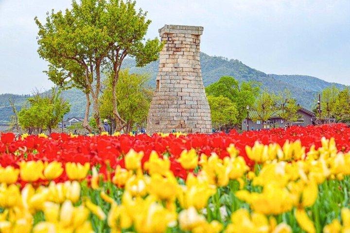 釜山発慶州ユネスコ世界遺産ツアー