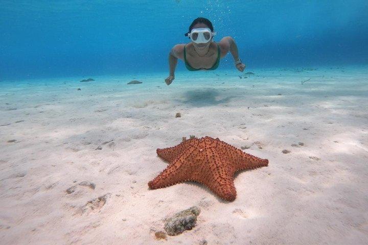 Snorkeling in Paradiso Palancar Columbia e El Cielo Experience