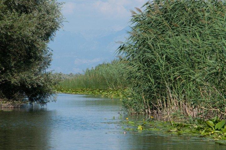 シュコダル湖国立公園ボートツアー（コム修道院訪問付き）