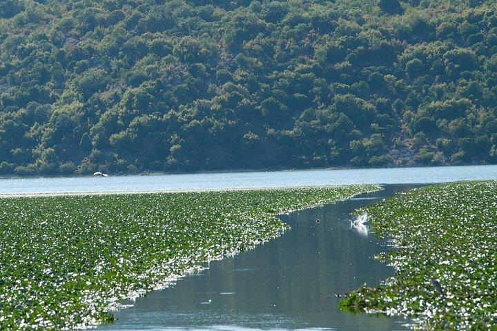 シュコダル湖国立公園ボートツアー（コム修道院訪問付き）