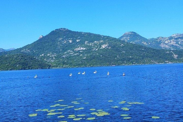 シュコダル湖国立公園ボートツアー（コム修道院訪問付き）