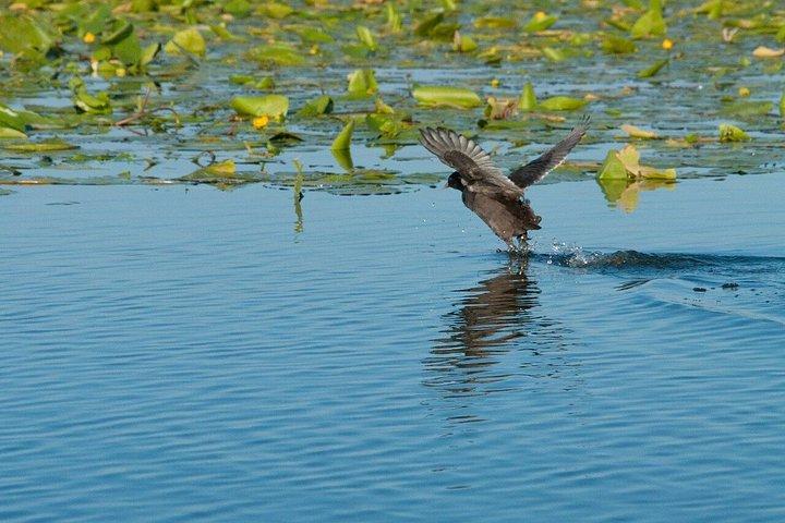 シュコダル湖国立公園ボートツアー（コム修道院訪問付き）