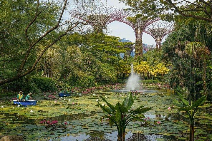 Singapore: Gardens by the Bay Admission E-Ticket