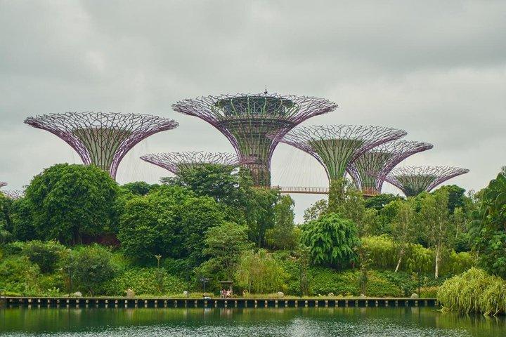 Singapore: Gardens by the Bay Admission E-Ticket