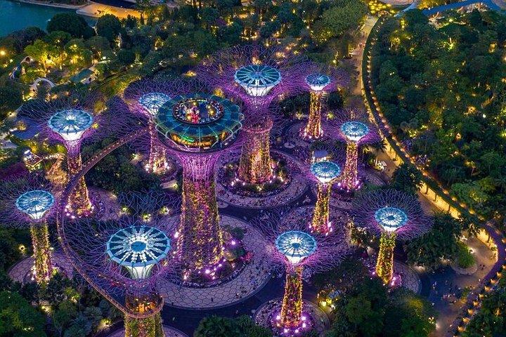 Singapore: Gardens by the Bay Admission E-Ticket