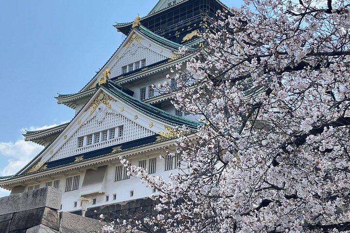 Private Osaka Tour from Your Hotel with Local Guide