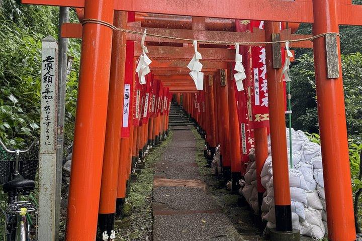 Kamakura Private Custom Tour with Local Guide