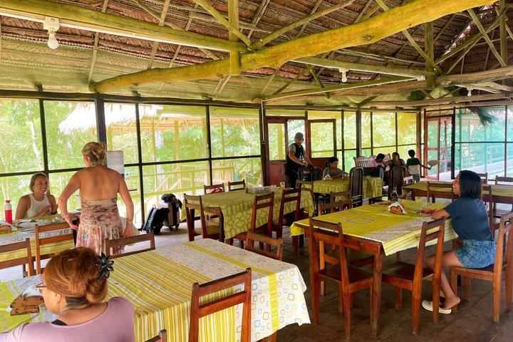 7 - Visite guidée d'une journée dans la jungle au départ d'Iquitos
