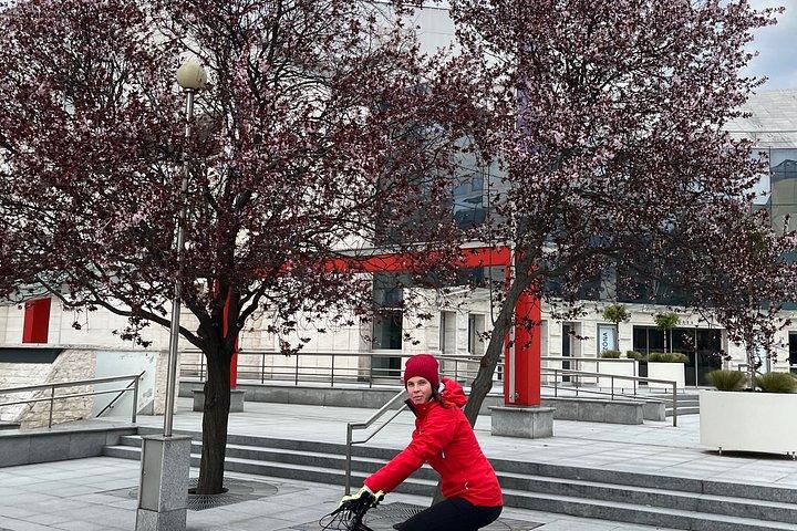 ブラチスラバパノラマEバイクツアー（3時間）