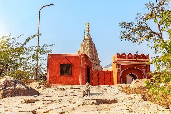 Private Jaipur Half-Day Tour with Monkey Temple & Sunset