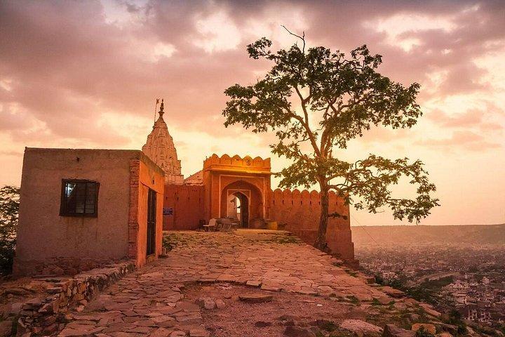 Private Jaipur Half-Day Tour with Monkey Temple & Sunset