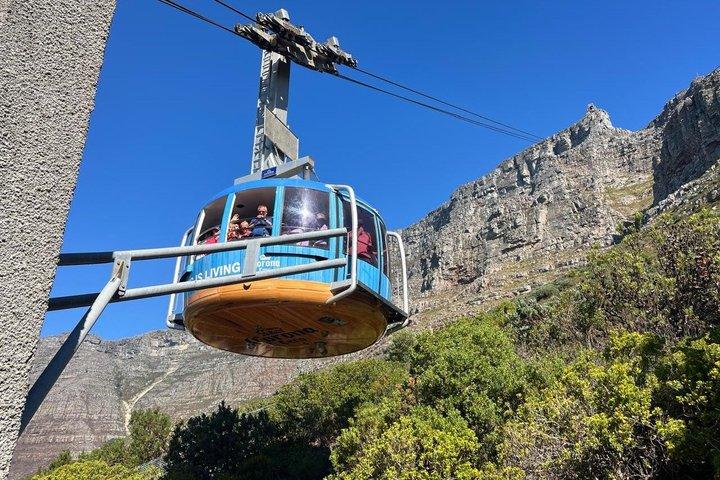 Tour di mezza giornata di Città del Capo e Table Mountain Cable Car