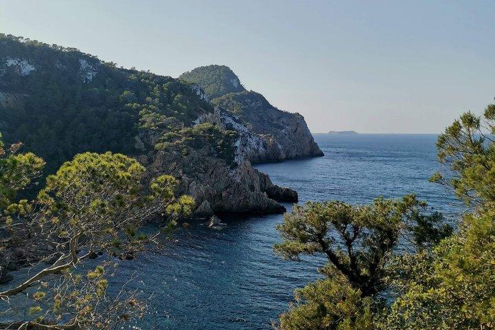 Escursioni naturalistiche guidate di bellezza nascosta a Ibiza