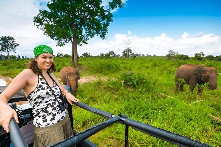ウダワラウェ国立公園プライベートサファリ