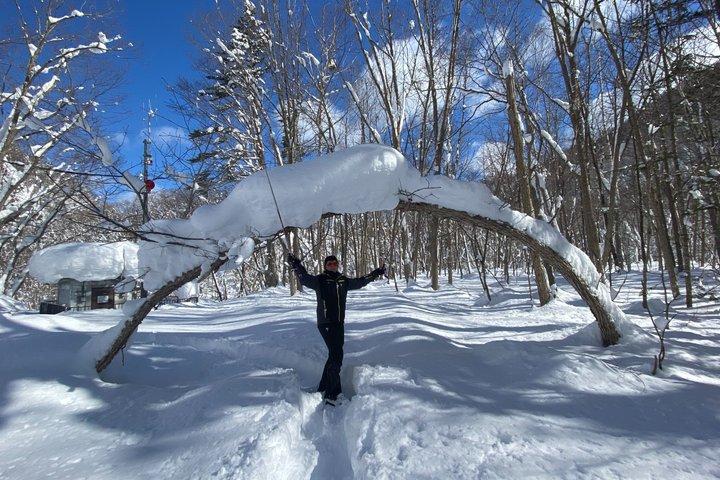 Visite privée de Sapporo à Onsen avec forfait spécial