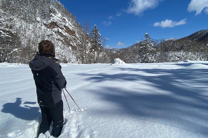 Sapporo Private Sightseeing Tour in Onsen with Special Package