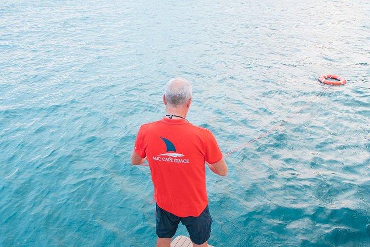 素敵です |海沿いのブランチ |ヴィルフランシュ・シュル・メール