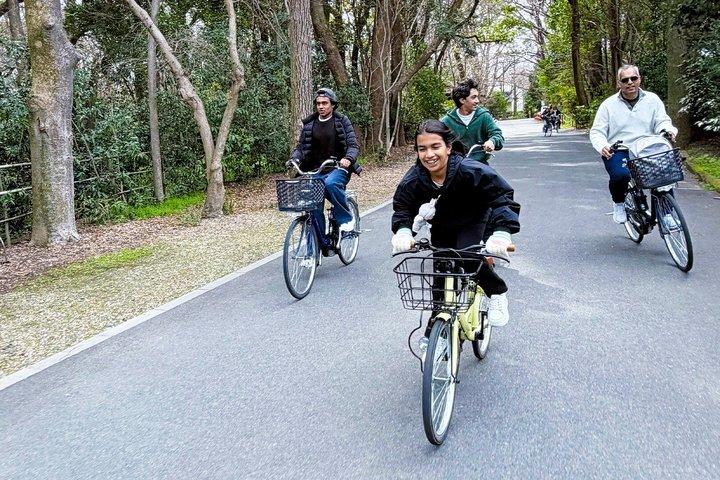 Kyoto: E-Bike Tour - Hoogtepunten, zijstraten en lokale geheimen