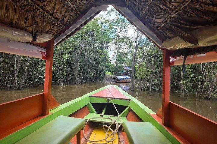 Cultural Excursion through the Amazon with a Local Guide