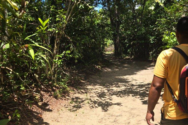 現地ガイドとアマゾンを巡る文化小旅行
