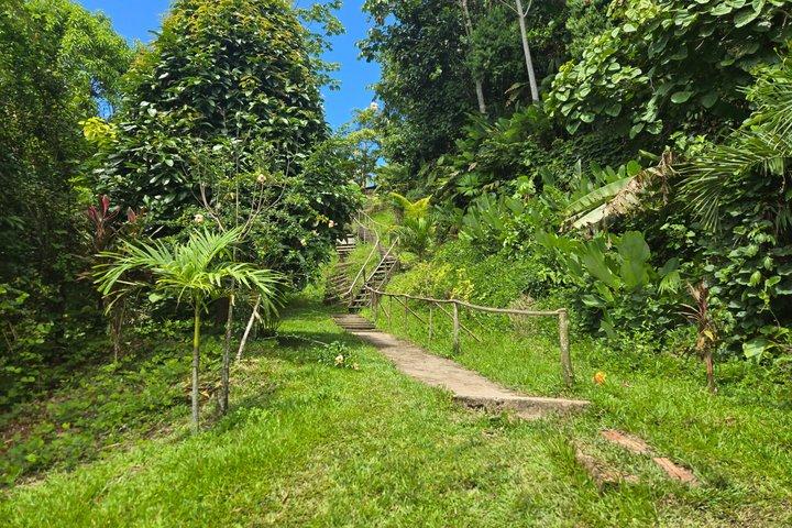 現地ガイドとアマゾンを巡る文化小旅行